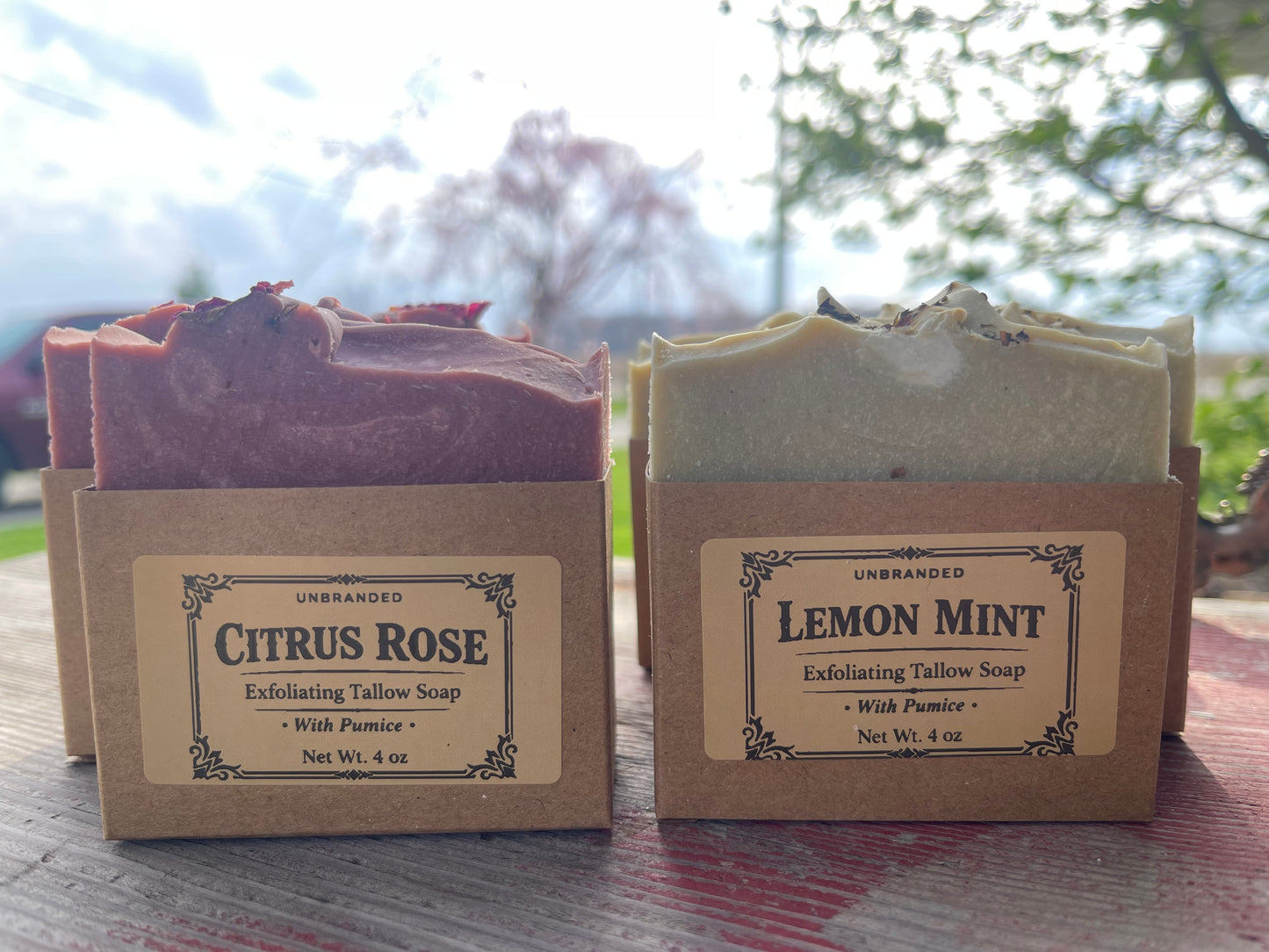 Citrus Rose Exfoliating Bar
