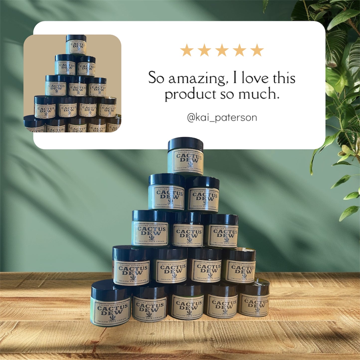 Cactus Glow Face Cream