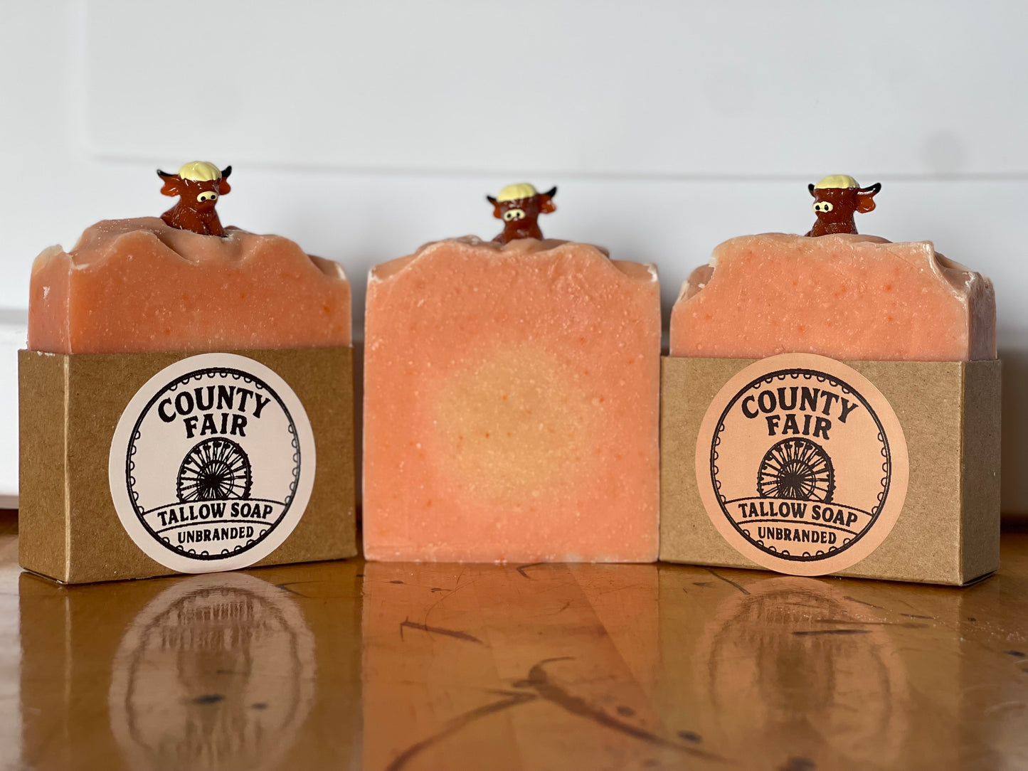 The County Fair