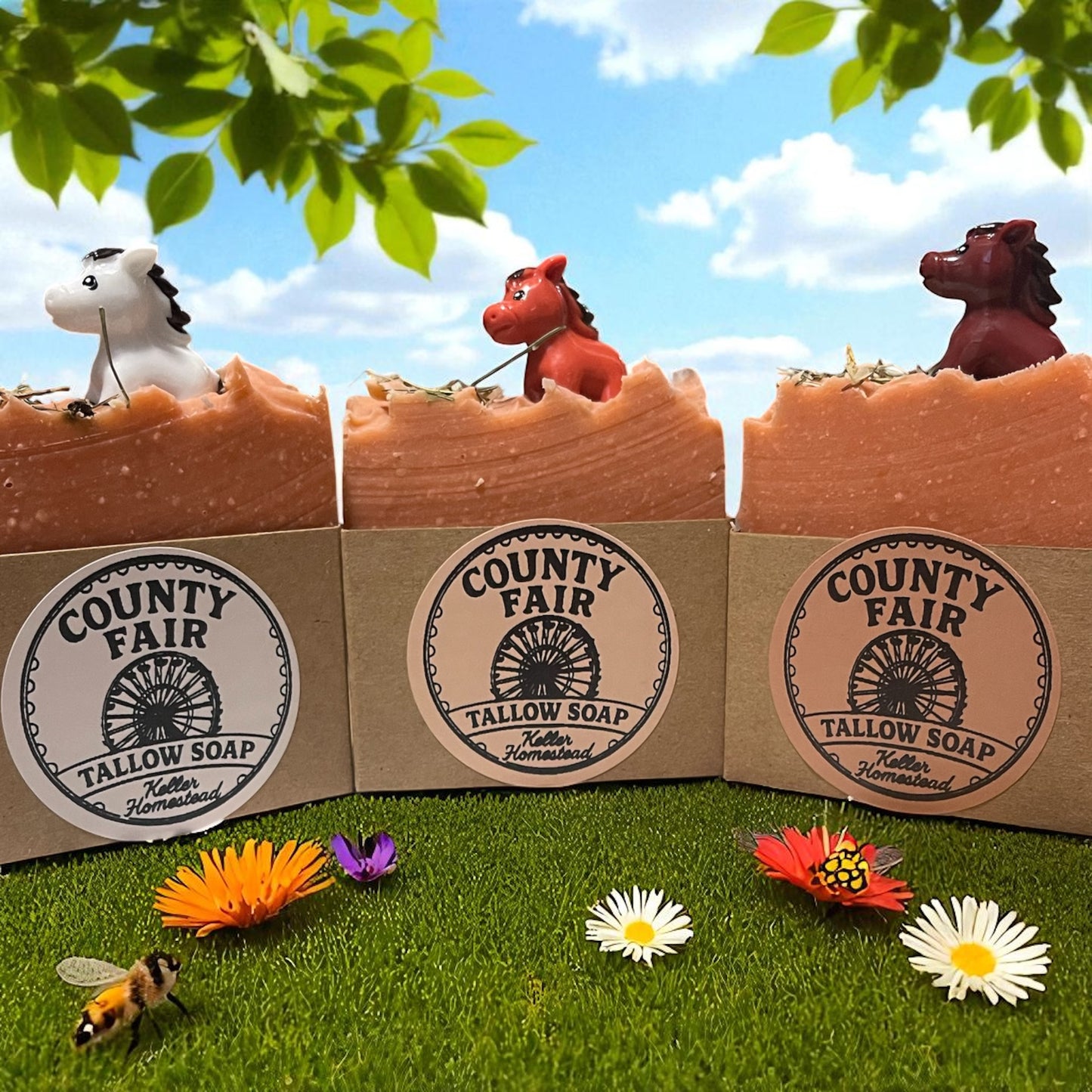 The County Fair